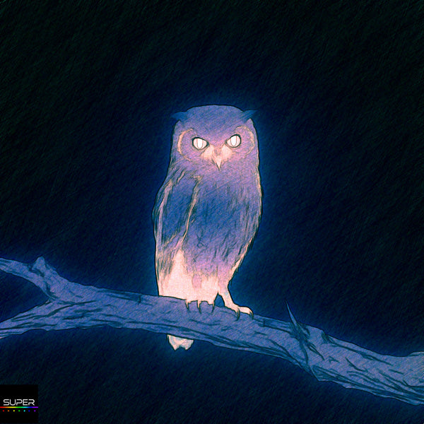 Whoo is Watching...